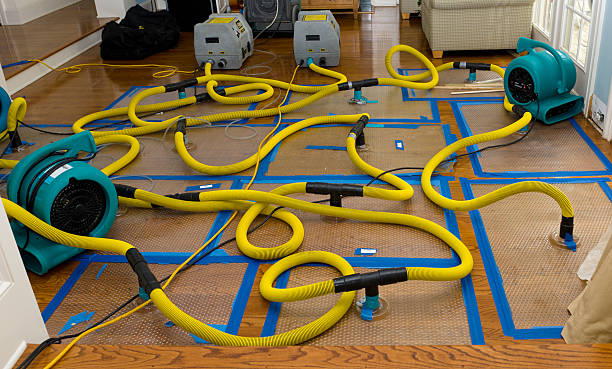 Professional Water Damage Repair technician working in Ledbetter, TX